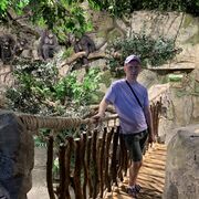 ���������� ������, ���� ������� �������, 39 ���, ������������ ��� ������, ����� � ���������, ���������