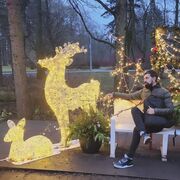 ���������� �����-���������, ���� ������� ��������, 40 ���, ������������ ��� ������, ����� � ���������