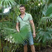  ,   IGOR, 43 ,     , c 