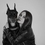 ���������� ������, ���