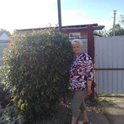 ���������� ����������, ���� ������� ��������, 60 ���, ������������ ��� c�������� ���������