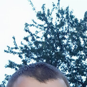 ���������� �������, ���� ������� ���������, 37 ���, ������������ ��� ������, ����� � ���������, c�������� ���������