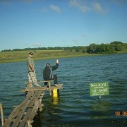 ���������� ������, ���� ������� ��������, 46 ���, ������������ ��� ������, ����� � ���������, c�������� ���������