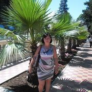 ���������� ��������������, ���� ������� ������, 51 ���, ������������ ��� c�������� ���������