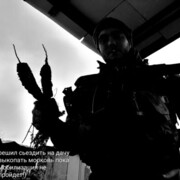 ���������� ������, ���� ������� Tim, 30 ���, ������������ ��� ������, ����� � ���������, ���������