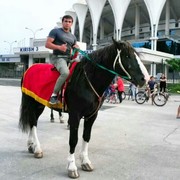 ���������� �������, ���� ������� ����, 34 ����, ������������ ��� ������, ����� � ���������, c�������� ���������