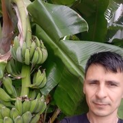  ,   , 37 ,   ,   , c 