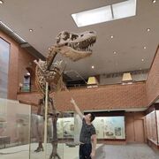 ���������� Ban Phattha Ya, ���� ������� Evgenii, 35 ���, ������������ ��� ������, ����� � ���������