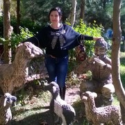  --,   , 49 ,   ,   , c 