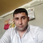 ���������� ����, ���� ������� Zaur, 42 ����, ������������ ��� ������, ����� � ���������, c�������� ���������