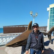  ,   , 43 ,   ,   