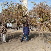  ,   , 63 ,     , c 