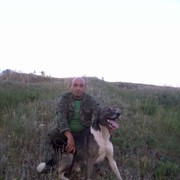 ���������� �������, ���� ������� ��������, 46 ���, ������������ 