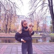 ���������� �����, �����