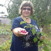 ���������� ���������, ���� ������� ���������, 68 ���, ������������ ��� ����� � ���������, c�������� ���������