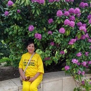 ���������� ���������, ���� ������� �������, 66 ���, ������������ ��� ������, ����� � ���������