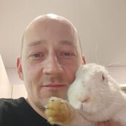 ���������� ��������, ������� �������, 42