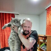 ���������� ������, ���� ������� �������, 46 ���, ������������ ��� ������, ����� � ���������, c�������� ���������, ���������