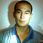  ,   Nur, 43 ,   