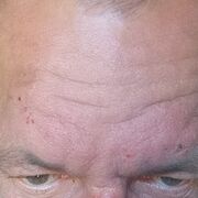  ,   Slavik, 51 ,   ,   , c , 