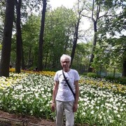  -,   , 66 ,   c 