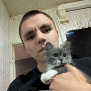 ���������� ��������, ���� ����� �����, 23 ����, ������������ ��� ������, ����� � ���������, c�������� ���������, ���������