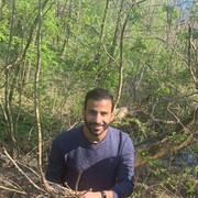 ���������� ������, ���� ������� �������, 38 ���, ������������ ��� ������, ����� � ���������, c�������� ���������