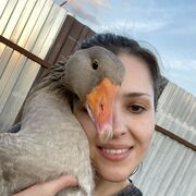 ���������� ������, ���� ������� �����, 27 ���, ������������ 