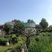  ,   Evgen, 39 ,   