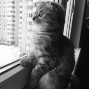 ���������� ������, ���� ������� ISA, 29 ���, ������������ ��� ������, ����� � ���������, c�������� ���������