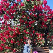 ���������� �����������, ���� ������� ������, 59 ���, ������������ ��� c�������� ���������