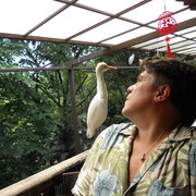  ,   , 49 ,   