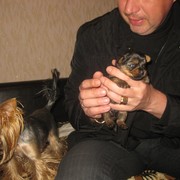 ���������� ������, ���� ������� ������, 50 ���, ������������ ��� ������, ����� � ���������, c�������� ���������