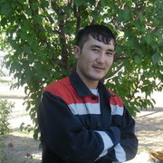 ���������� �����, ���� ������� ����, 38 ���, ������������ ��� ������