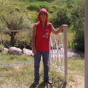 ���������� ������, ���� ������� Raz, 31 ���, ������������ ��� ������, ���������