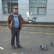 ���������� ����������, ������� petr, 63