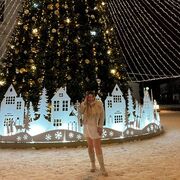  ,   , 29 ,     , c , 