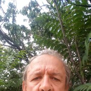  -,   , 71 ,   ,   , c 