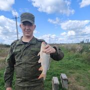 ���������� ����, ���� ������� �������, 29 ���, ������������ ��� ������, ����� � ���������