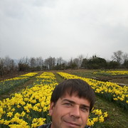  ,   , 48 ,  