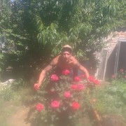 ���������� ��������, ���� ������� �����, 44 ����, ������������ ��� ������, ����� � ���������, c�������� ���������