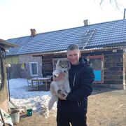 ���������� ������, ���� ������� �����, 43 ����, ������������ ��� ����� � ���������, c�������� ���������