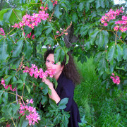 ���������� ������, ���� ������� �����, 39 ���, ������������ ��� ������, ����� � ���������, c�������� ���������