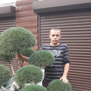  --,   , 32 ,   ,   , c 