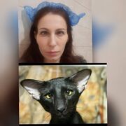  ,   , 44 ,   c , 