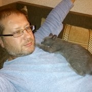 ���������� �����, ���� ������� �������, 54 ����, ������������ ��� ������, ����� � ���������, c�������� ���������