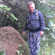 ���������� ���, ���� ������� ������, 55 ���, ������������ ��� ������, ����� � ���������, c�������� ���������