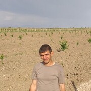  -,   , 28 ,   c 