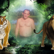 ���������� ������, ���� ������� ����� �����, 43 ����, ������������ ��� ������, ����� � ���������, c�������� ���������