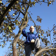 ���������� ��������, ���� ������� ������, 46 ���, ������������ ��� ������